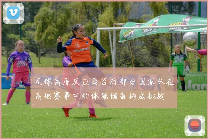 足球高原反应是否对部分国家队在高地赛事中的体能储备构成挑战