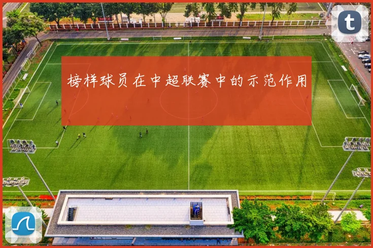 榜样球员在中超联赛中的示范作用