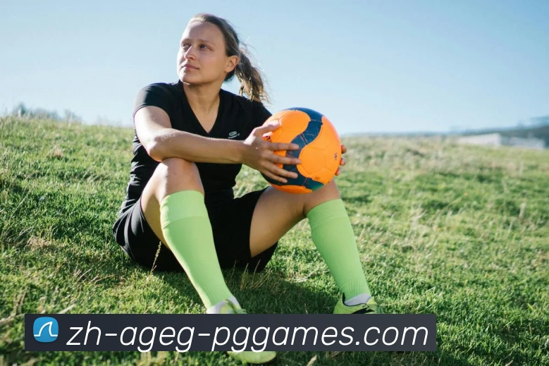 PG电子平台生态图